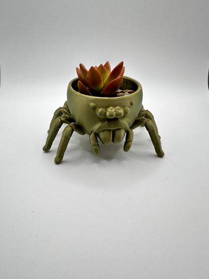 Jumping Spider Planter