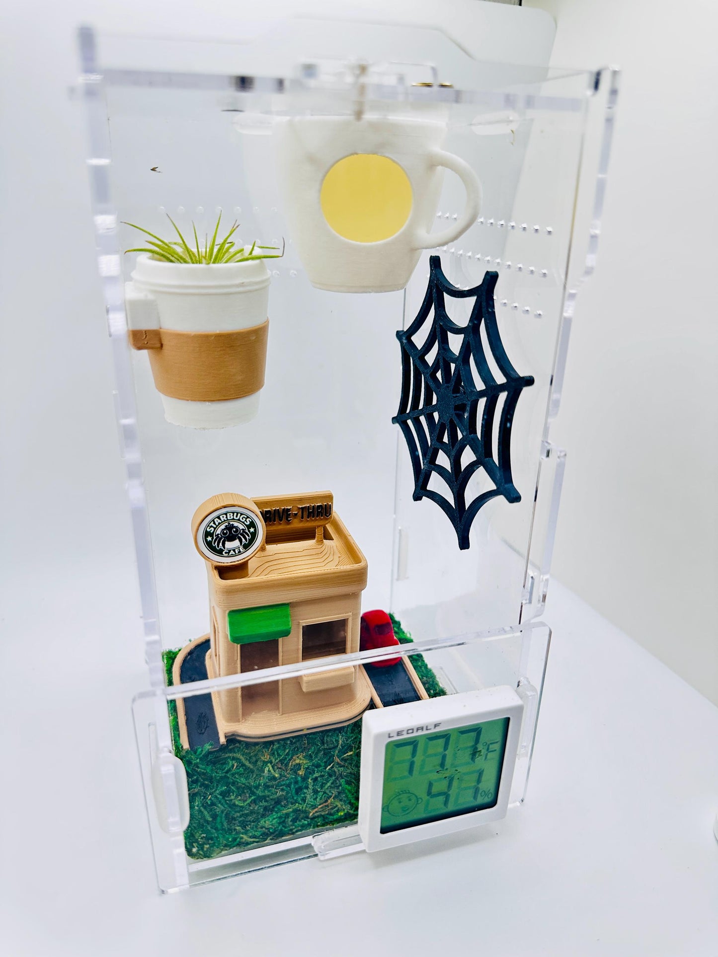 Cafe Drive Thru Theme | JUMPING SPIDER