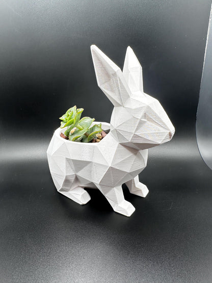 Bunny Rabbit Planter Décor for Airplants or Succulents