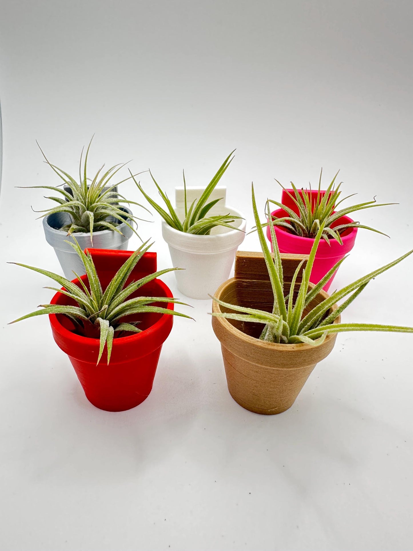 Classic Wall Planter | Magnetic | Jumping Spiders | Enclosure Accessories