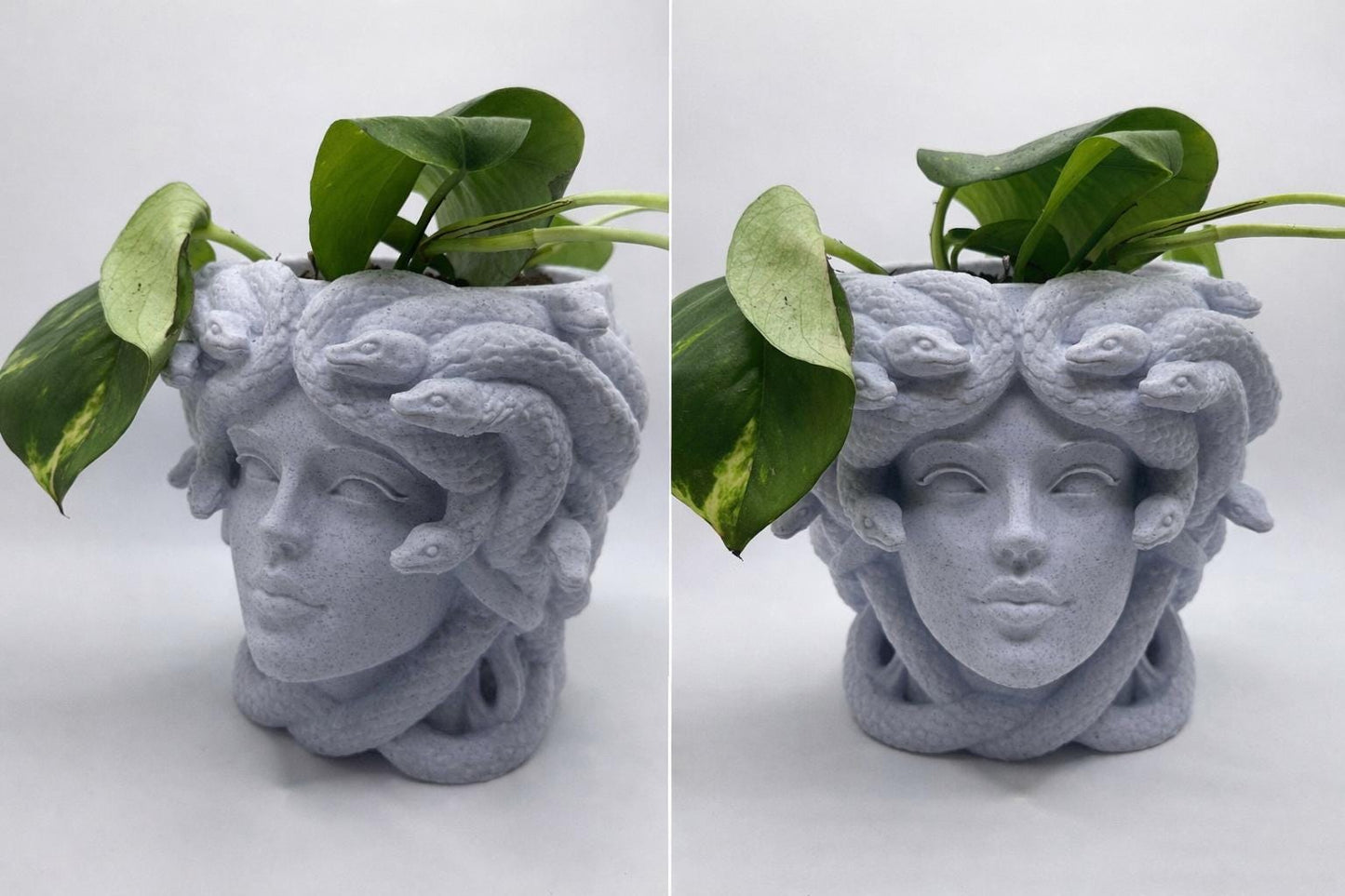 Medusa Head Planter – 3D Printed - Greek Mythology Inspired Decor