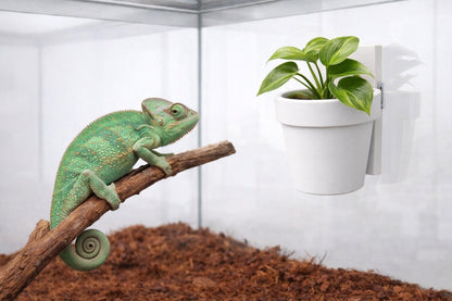Classic Wall Planter | Magnetic | sized for REPTILES | Plant Add-ons