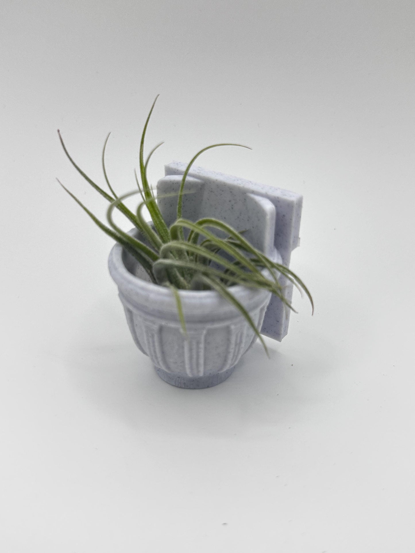 Greco-Roman Magnetic Wall Planter | Pet decor | Terrariums | Jumping Spider