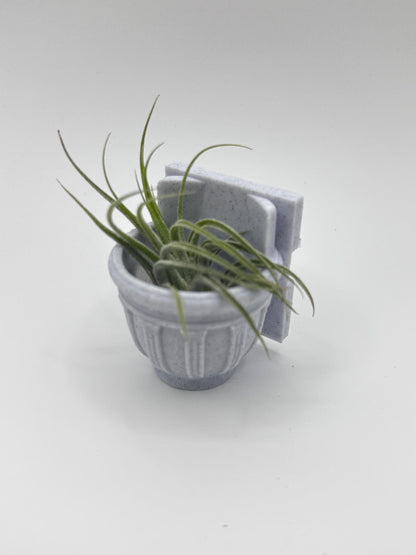 Greco-Roman Magnetic Wall Planter | Pet decor | Terrariums | Jumping Spider