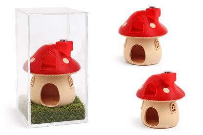 Mushroom House | Jumping Spider Home