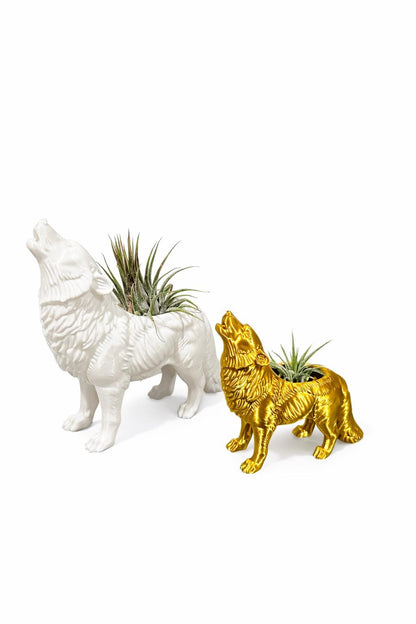 Howling Wolf Air Plant Planter