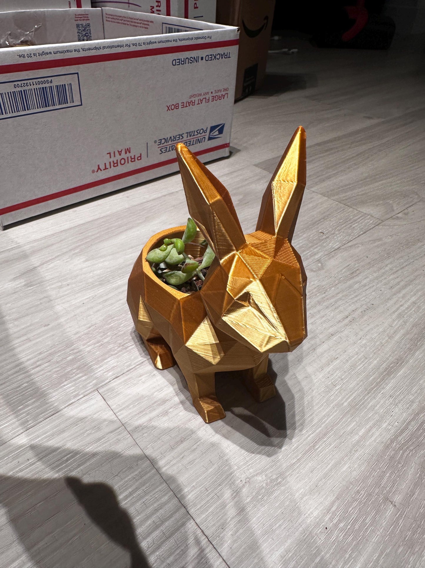 Bunny Rabbit Planter Décor for Airplants or Succulents
