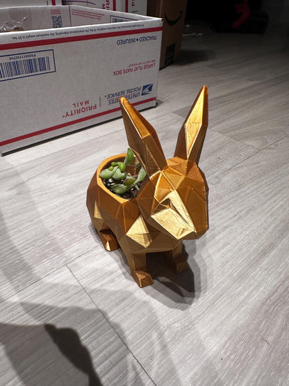 Bunny Rabbit Planter Décor for Airplants or Succulents