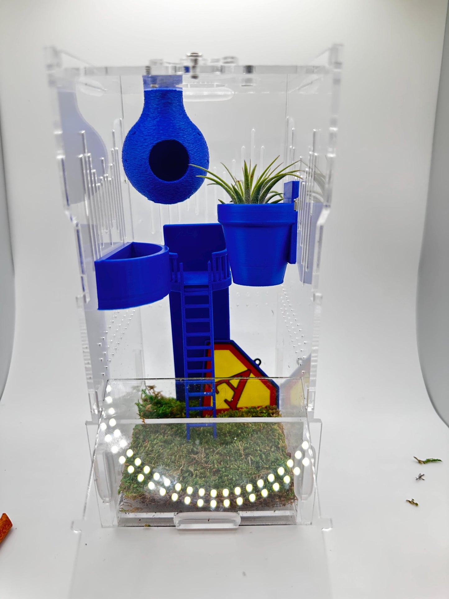 Classic Wall Planter | Magnetic | Jumping Spiders | Enclosure Accessories