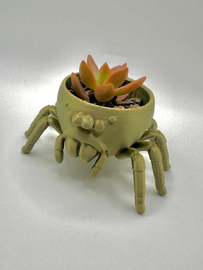 Jumping Spider Planter
