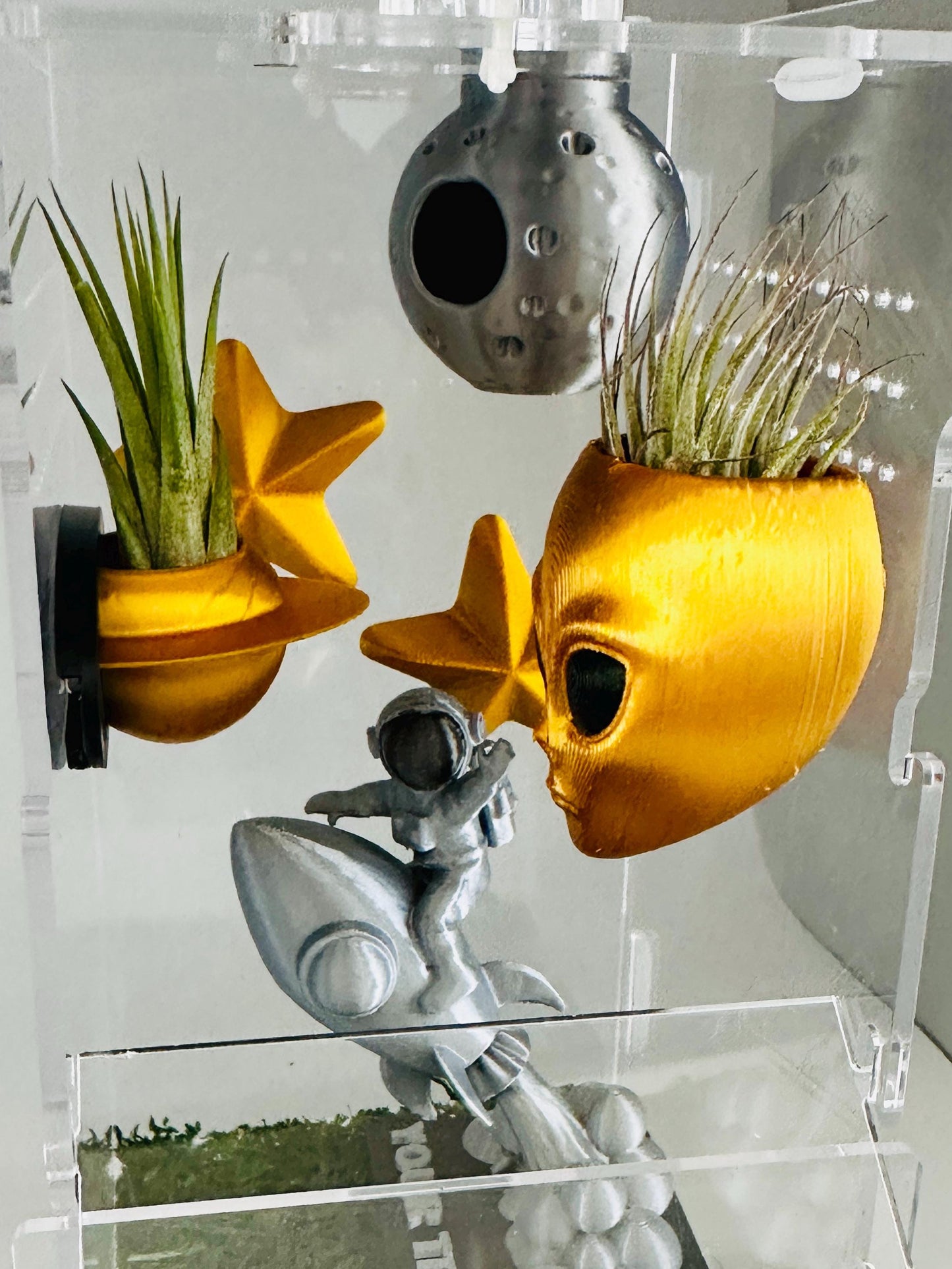 Space Themed Magnetic Wall Planters | Pet decor | Terrariums | Jumping Spider