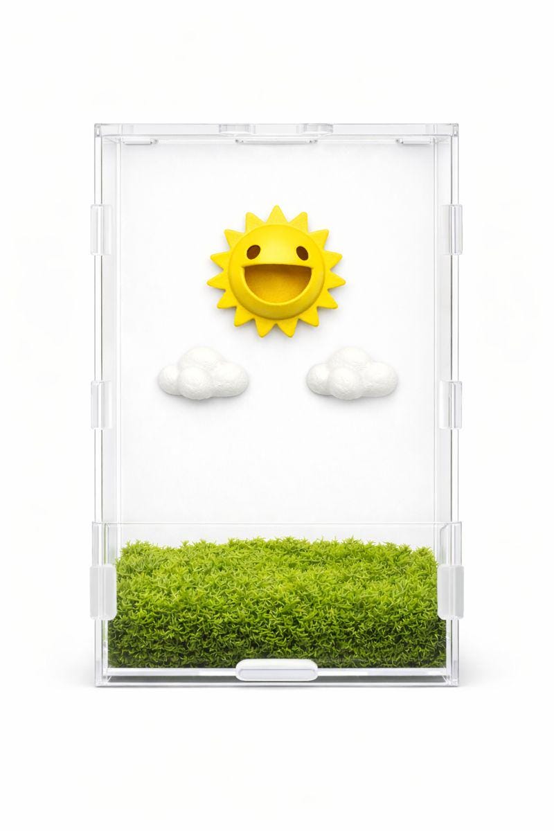 Set of Clouds | Magnetic | Jumping Spider Decor