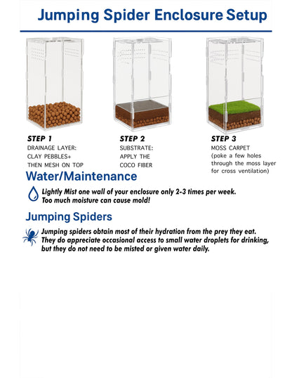 SEMI BIO-ACTIVE Starter Bundle | Jumping Spiders & Other Tiny Pets| Low Maintenance | Free Random Gift included with every order!