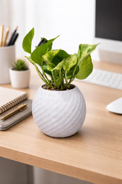 Modern Spiral Finish Planter – With Plant Add-ons - 3D Printed