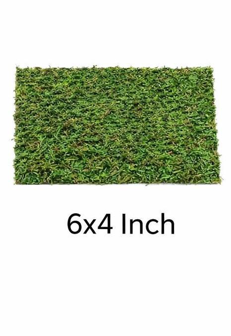 Dried Moss Carpeting for Jumping Spiders & Reptiles (more sizes,better quality)