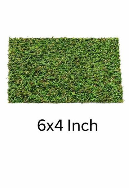 Dried Moss Carpeting for Jumping Spiders & Reptiles (more sizes,better quality)