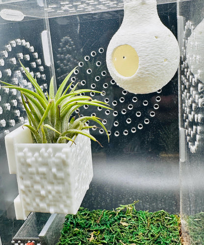 Cube Style Magnetic Wall Planter