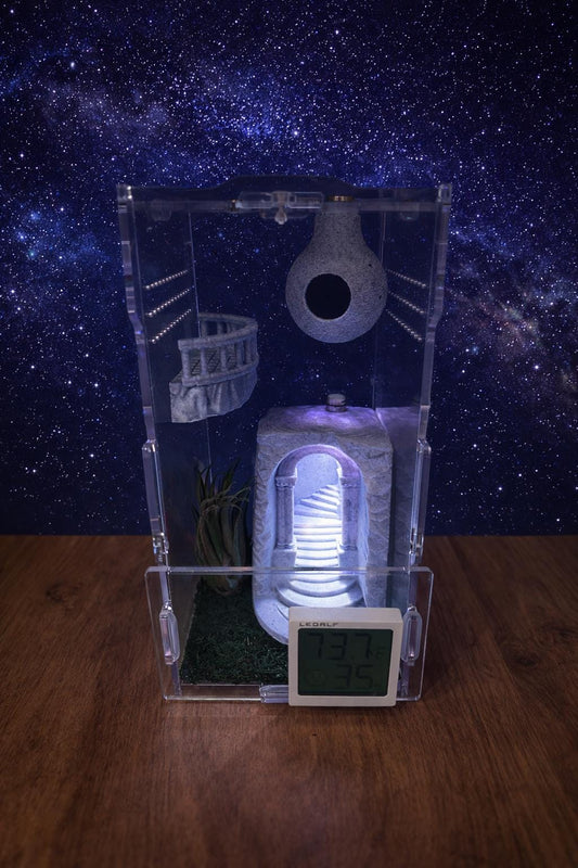 Secret Door Cave | SIMPLE Starter Bundle | Jumping Spider Enclosure