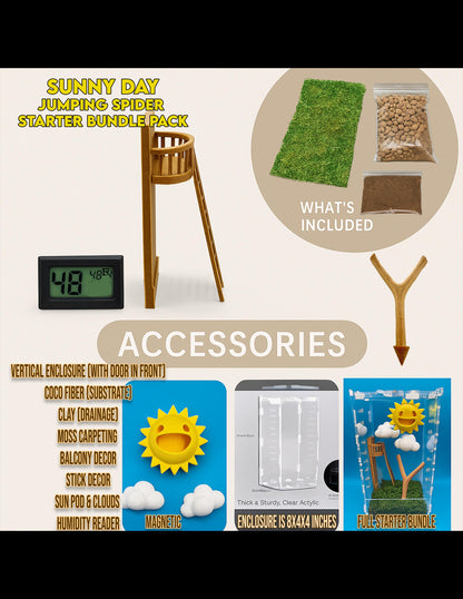 Sunny Day Themed Full Bundle Pack | Jumping Spiders | SpydeeVerse | Everything included!