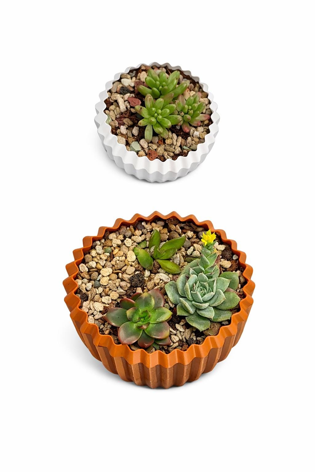 Modern Ripple Planter | 3D Printed | Plant Add-ons -