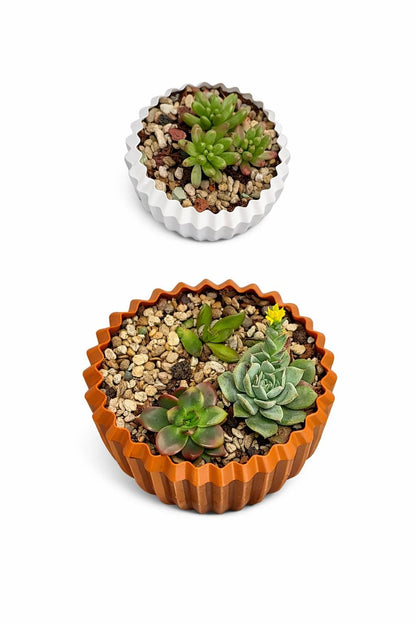 Modern Ripple Planter | 3D Printed | Plant Add-ons -