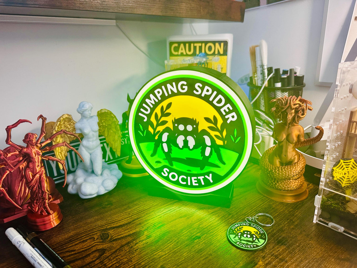 JUMPING SPIDER SOCIETY | Lamp decor