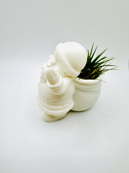 Santa Planter | Perfect for Air plants or Succulents