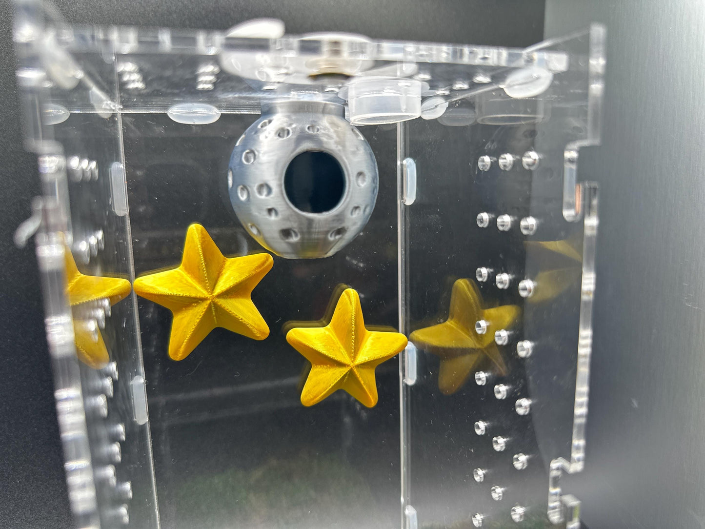 Moon w. Clouds or Stars | Jumping Spider Hide Decor