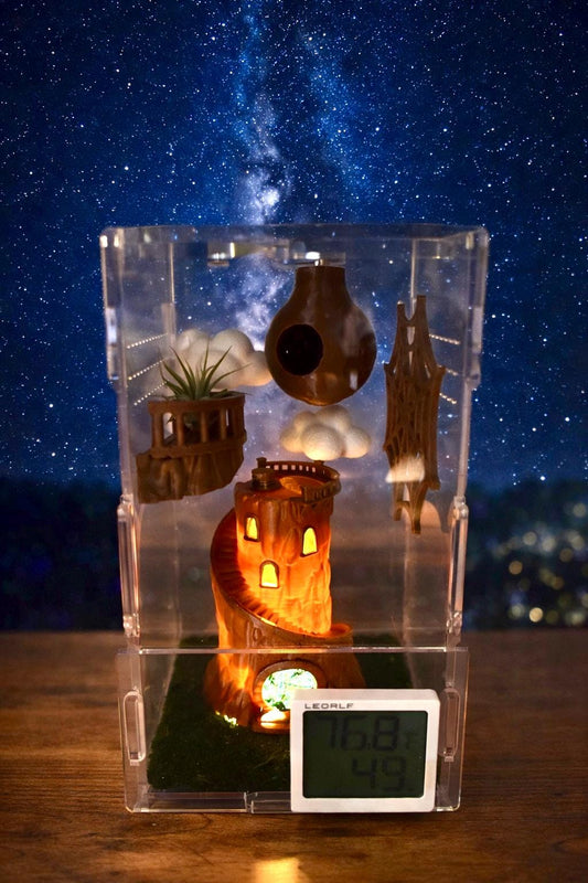 Cliffside Castle Theme | JUMPING SPIDER