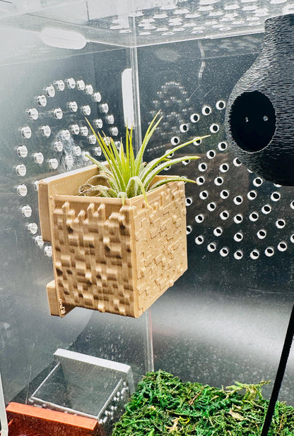 Cube Style Magnetic Wall Planter