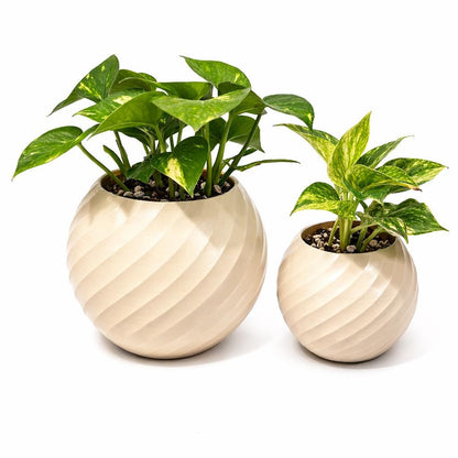 Modern Spiral Finish Planter – With Plant Add-ons - 3D Printed