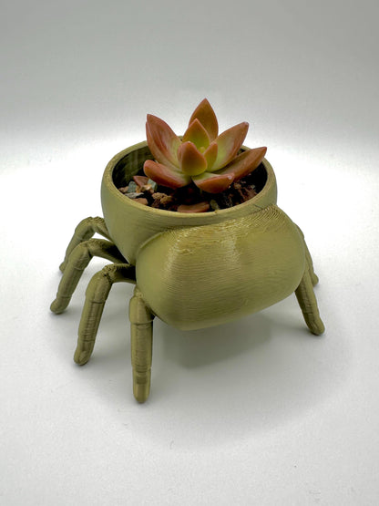 Jumping Spider Planter