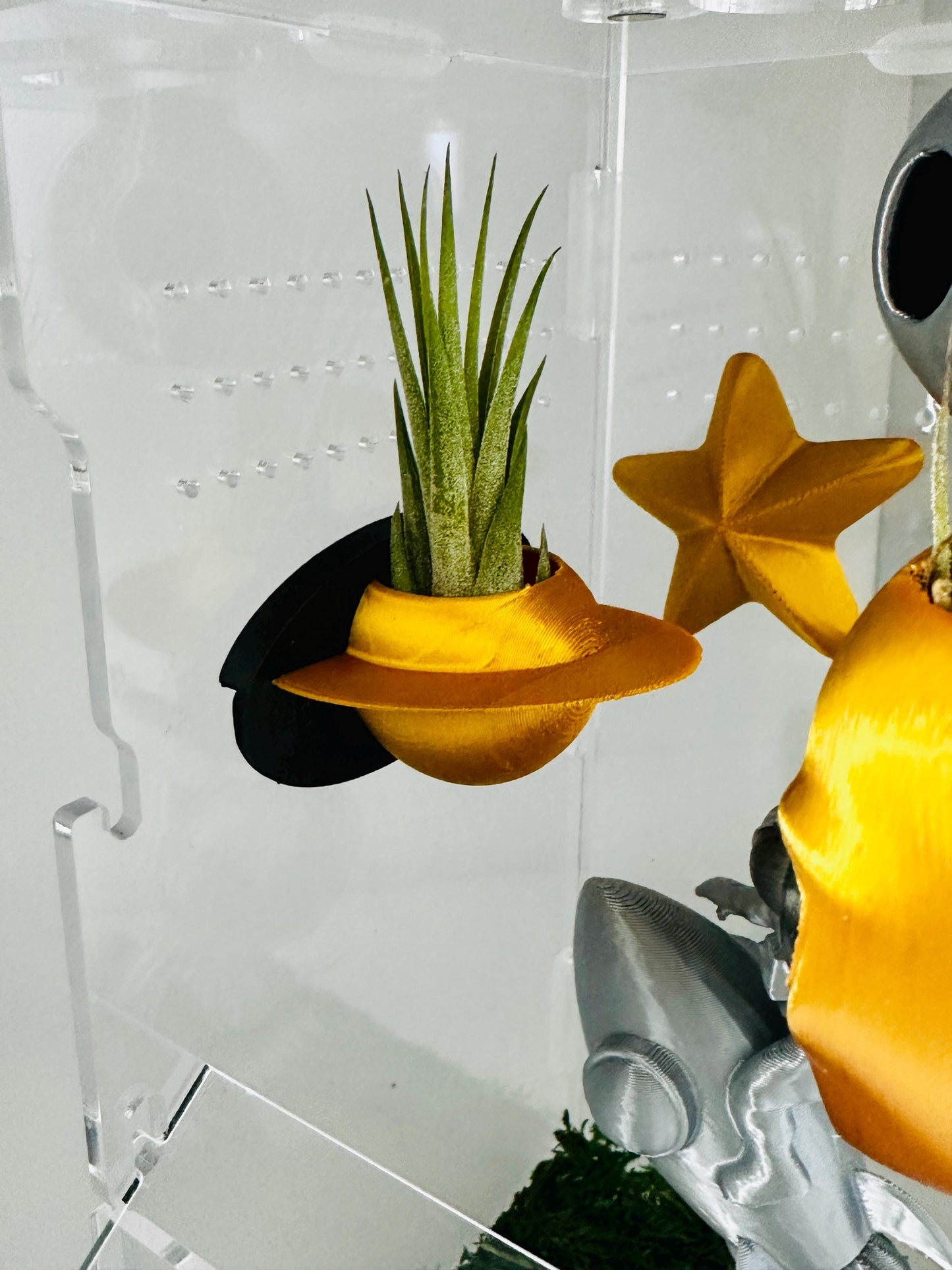 Space Themed Magnetic Wall Planters | Pet decor | Terrariums | Jumping Spider